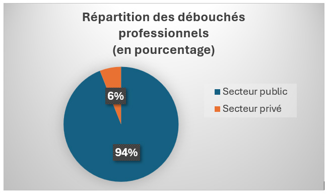 Graphe_R&eacute;partition des d&eacute;bouch&eacute;s professionnels en pourcentage