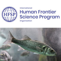 2022 Human Frontier Science Program Awards